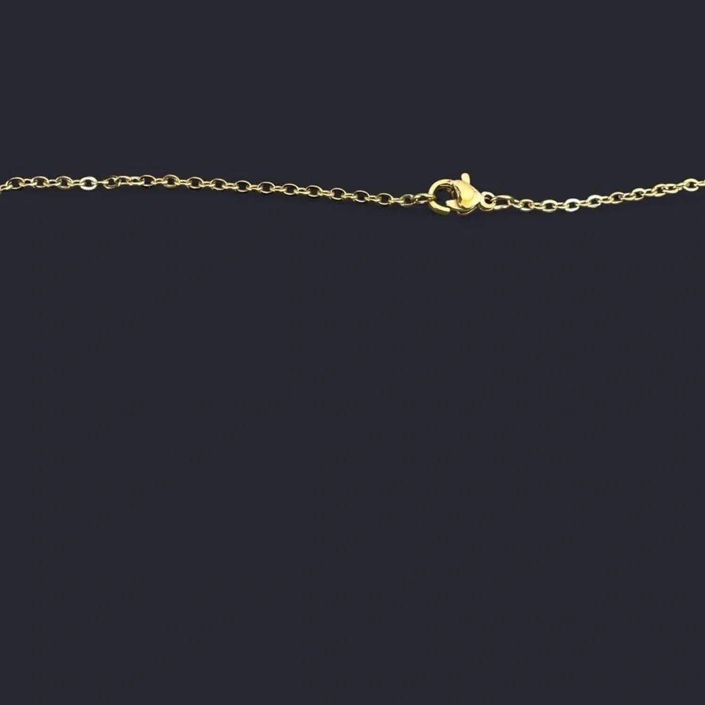 Black Agate Donut Pendant Gold Necklace